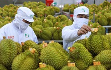 Doanh nhân Trung Quốc 'mách nước' 5 bí quyết để xuất khẩu trái cây Việt Nam vượt qua Thái Lan