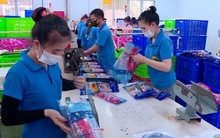 Đồng Nai: Doanh nghiệp FDI chiếm 74,3% trong tổng kim ngạch xuất khẩu