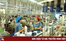 Kinh tế Việt Nam được dự báo tăng trưởng 7,5%