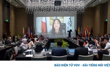 Hài hòa tiêu chuẩn để thúc đẩy thương mại số