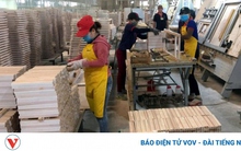 Tỷ lệ doanh nghiệp tận dụng ưu đãi thuế quan trong EVFTA còn rất thấp