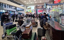 Căng thẳng vé hàng không, đường sắt dịp Tết