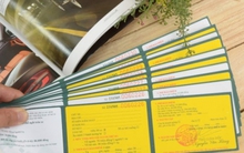 Áp lực bồi thường mảng bảo hiểm xe cơ giới