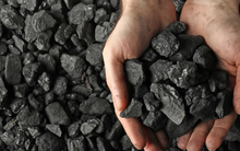 Giá than duy trì ở mức cao