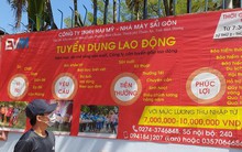 Ráo riết tuyển lao động thời vụ