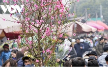 Học sinh Hà Nội được nghỉ Tết Nguyên đán Quý Mão 2023 bao nhiêu ngày?