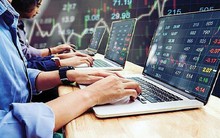 Tự doanh CTCK mua ròng 23 tỷ đồng trên HoSE, tập trung gom NVL