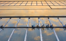 Đi Vũng Tàu nhiều nhưng không phải ai cũng biết cánh đồng đẹp đến say lòng này