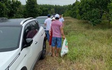 “Thời tới” cho người sẵn tiền mặt: Mua 1 gấp 3?