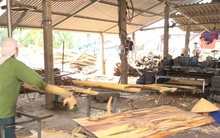 Nhiều doanh nghiệp miền núi gặp khó vì "bí" đầu ra