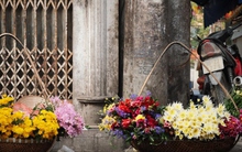 Phố phường Hà Nội rực rỡ sắc màu với những gánh hàng hoa