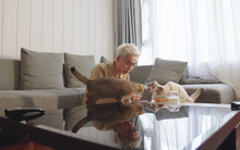 Là Nhà vừa tung trailer tập 2: Osad đưa đề bài khó nhằn, sửa nhà thế nào để sống hoà thuận cùng 3 chú mèo cưng?