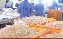 Việt Nam phải nhập khẩu 90% rong biển