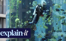 Những điều cần biết về vụ nổ thủy cung hình trụ lớn nhất thế giới tại Đức