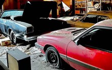 40 năm sau khi bị bỏ hoang, bộ sưu tập xe Chevrolet, Mercury ngập trong cát bụi: Chủ nhân là người trúng xổ số nhưng bị phá sản