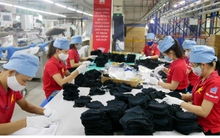 Doanh nghiệp chưa tận dụng hết lợi thế “1 mình 1 chợ” khi tham gia CPTPP