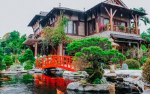 Phó chủ tịch FPT sở hữu biệt thự khủng được phủ kín bằng tùng Nhật và đá quý