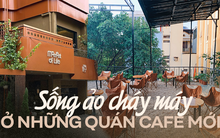 Loạt quán cà phê mới toanh tại Hà Nội cho giới trẻ tha hồ "sống ảo" dịp Giáng sinh này