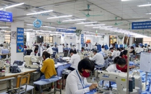 Nhiều doanh nghiệp "hé lộ" kế hoạch thưởng Tết Quý Mão 2023