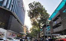 Lý do bãi đỗ xe ở đô thị rất thiếu, nhiều bất cập