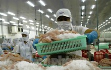 Nhiều địa phương thưởng Tết: Cao cả trăm triệu, thấp chỉ trăm nghìn