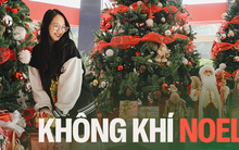 Không khí Noel tại các trường ĐH Việt Nam: Đâu cũng rực rỡ như trời Tây, có nơi còn “tậu” hẳn máy phun tuyết nhân tạo