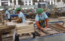 Doanh nghiệp gỗ bị treo cả ngàn tỉ tiền hoàn thuế
