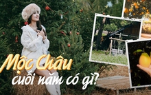 Du lịch Mộc Châu đừng lỡ hẹn với những địa điểm này, toàn tọa độ sống ảo đẹp ngỡ ngàng dịp cuối năm