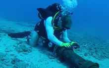 Tuyến cáp quang biển APG tiếp tục gặp sự cố, 2 tuyến khác chưa sửa xong