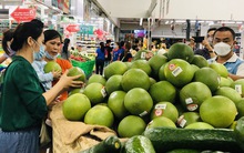 Bưởi Tết nhiều khả năng có bất ngờ về giá