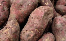 2 loại củ là "sát thủ của ung thư", vị thì ngon giá lại rẻ bèo, ăn một ít mỗi ngày sẽ giúp bạn tránh xa căn bệnh này