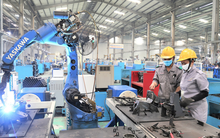 Cơ hội nào cho lao động mất việc, thiếu việc?