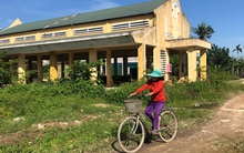 Hàng loạt chợ xây xong bỏ hoang