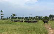 Hà Nội công khai danh sách xử lý 27 dự án 'ôm đất' chậm triển khai