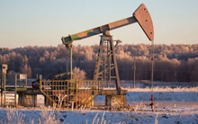 Thêm quốc gia châu Á “giải cứu” dầu thô, Nga mạnh tay “đáp trả” các quốc gia tuân thủ giá trần