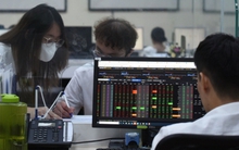 Chứng khoán tăng không ngừng nghỉ, nhà đầu tư nên làm gì?