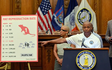 New York tuyển giám đốc diệt chuột, lương 4 tỷ/năm: Yêu cầu chỉ cần có lòng quyết tâm và bản năng "sát thủ" đối với loài gặm nhấm