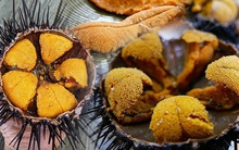 Loại trứng đầy dinh dưỡng, giá bán trên thị trường tuy cao nhưng vẫn hút khách