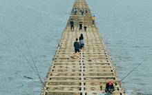 Khi đê chắn sóng trở thành địa điểm hấp dẫn, được các "tín đồ" du lịch yêu thích