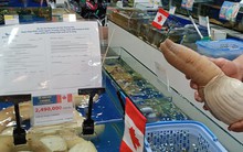 Ốc vòi voi vàng Canada bán Tết giá gần 5 triệu đồng/con