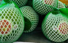 Bưởi da xanh bay đến Mỹ, giá hơn 500.000 đồng/kg