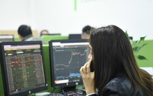 Giải trình giá cổ phiếu tăng trần, giảm sàn 5 phiên liên tiếp: Nặng thủ tục hành chính, tốn kém