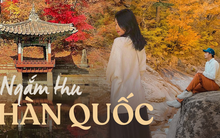 6 địa điểm tận hưởng mùa thu, ngắm lá vàng rơi lãng mạn ở Hàn Quốc