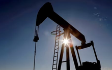 Vị khách hàng bất chấp nhất của Nga, tuyên bố sẽ ‘giải cứu’ dầu Nga kể cả khi cấm vận hay áp giá trần