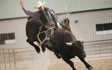 Chứng khoán Việt Nam chia hai gam màu khác biệt trong năm 2023, nhà đầu tư nên hành động ra sao để tránh thua lỗ?