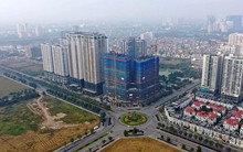 Chủ tịch tỉnh yêu cầu kiểm tra vụ Đất Xanh Quảng Ngãi lấp ruộng lúa làm bất động sản