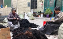 Trung Quốc có thành phố mệnh danh 'thánh địa của tóc giả' - nơi những cô gái nông thôn bán tóc thành thông lệ