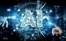 Bình Định muốn mời gọi doanh nghiệp Ấn Độ đầu tư vào lĩnh vực gì?