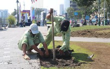 Thông tin mới vụ thảm cỏ tại công viên Bến Bạch Đằng bị hư hại nặng sau lễ hội ẩm thực
