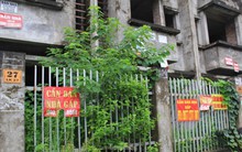 “Bắt đáy” thị trường bất động sản